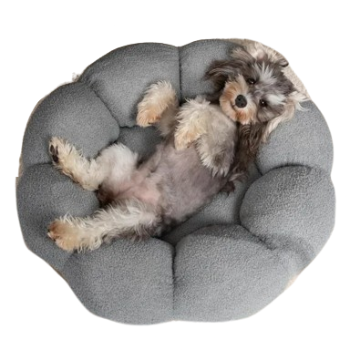 Dog lying on a gray round pet bed against a white background