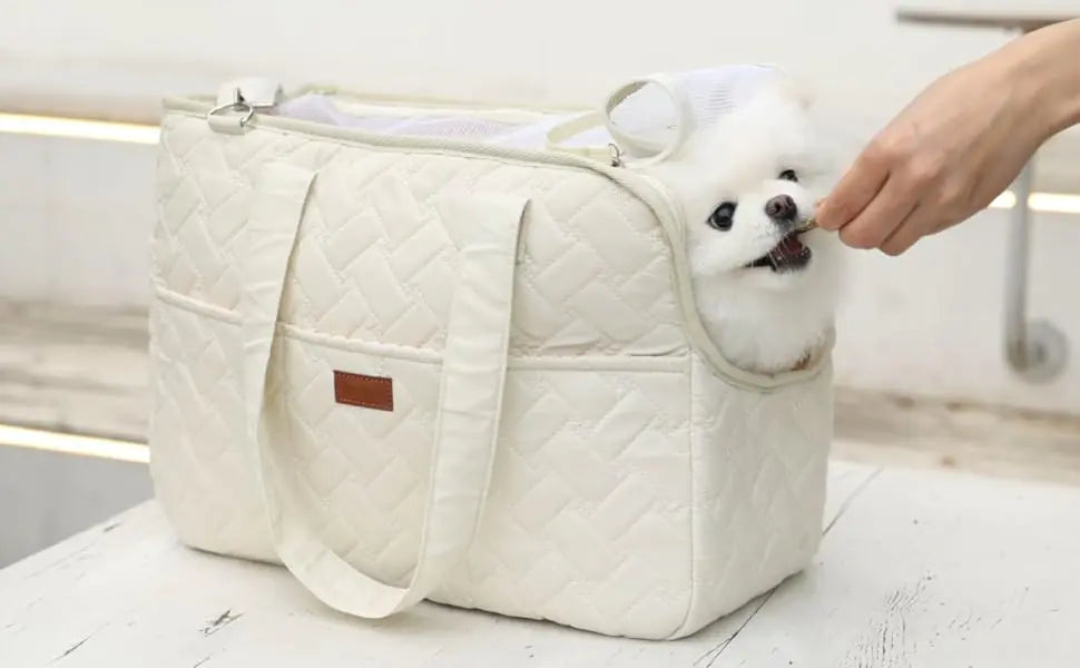 White dog peeking out from a quilted pet carrier held by a person.