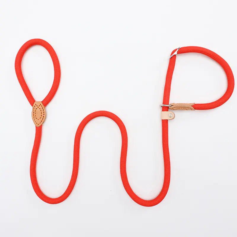 Adjustable Heavy Woven Nylon Non-Slip Dog Training Rope