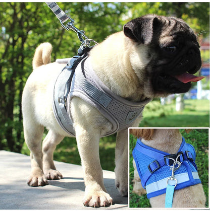 Fluorescent Harness for Small to Medium Dogs (Colour Variants)