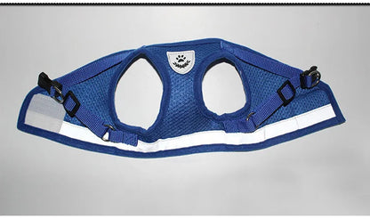 Fluorescent Harness for Small to Medium Dogs (Colour Variants)