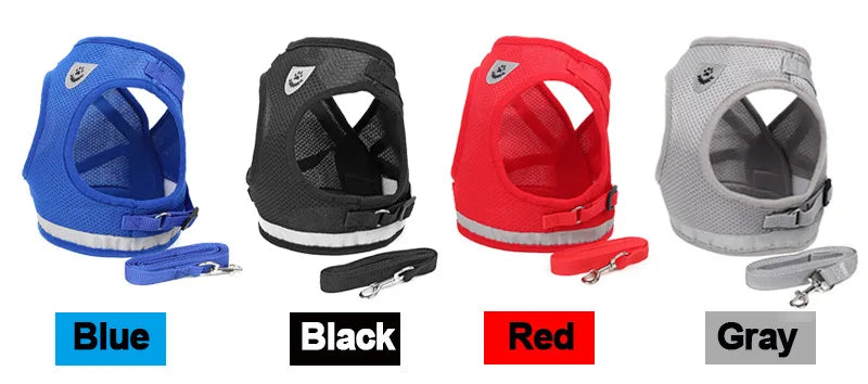 Fluorescent Harness for Small to Medium Dogs (Colour Variants)