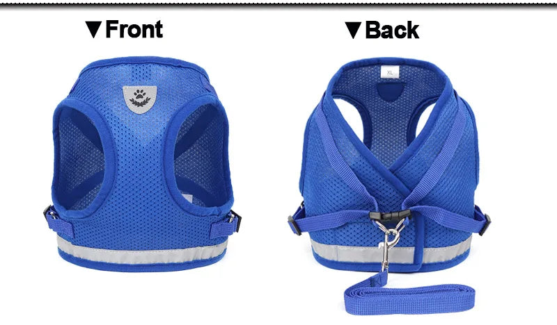 Fluorescent Harness for Small to Medium Dogs (Colour Variants)
