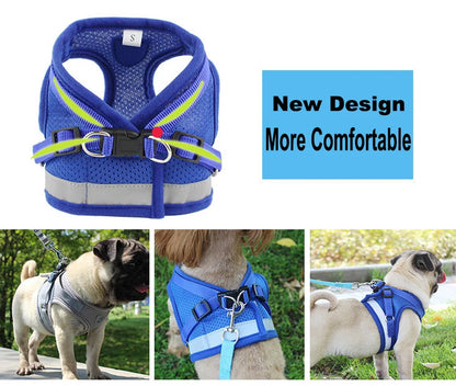 Fluorescent Harness for Small to Medium Dogs (Colour Variants)