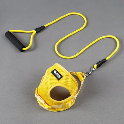 Dog Leash and Collar Set for Pets