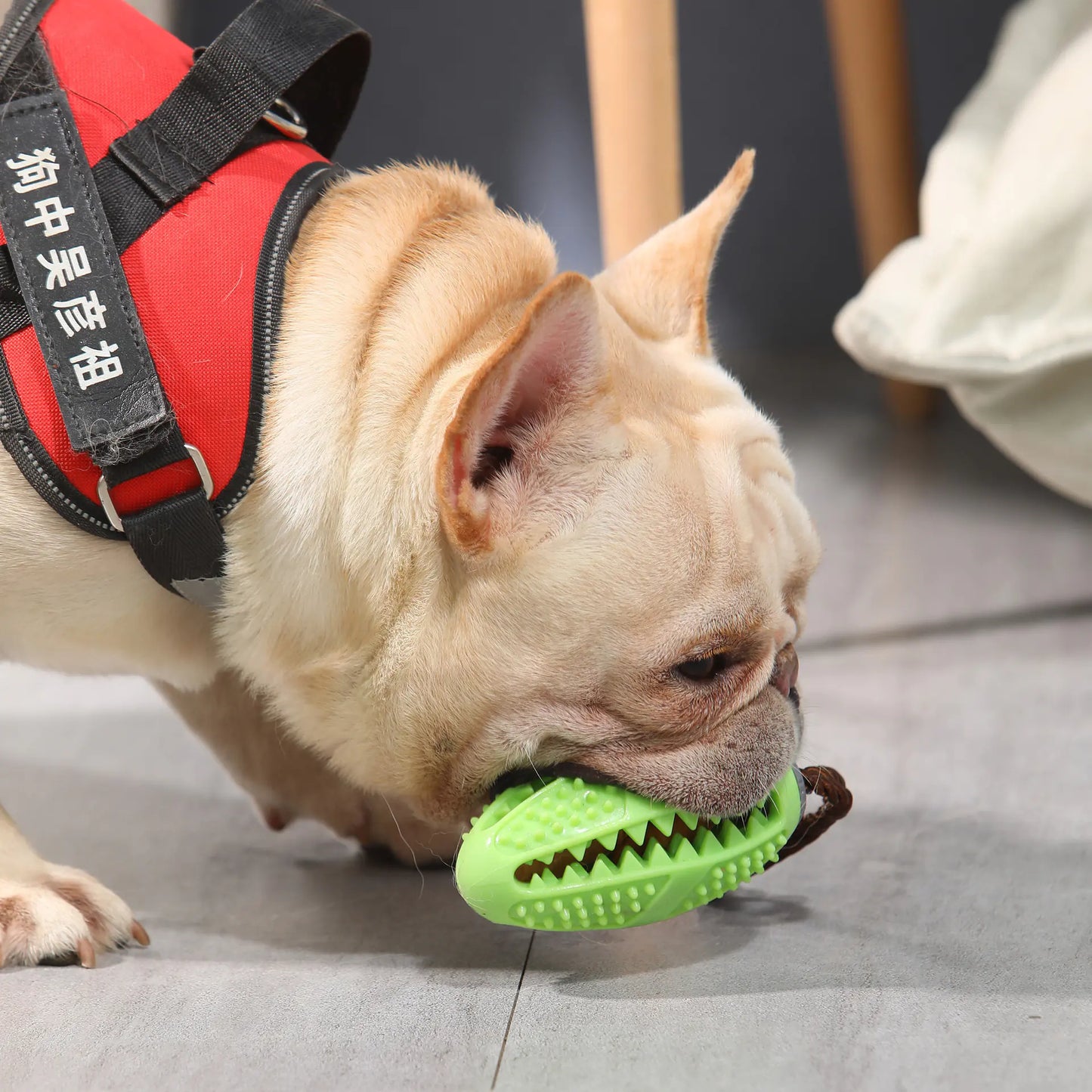 Interactive Dog Food Leakage Toy - Elastic Rubber Ball Toothbrush (Colour Variants)