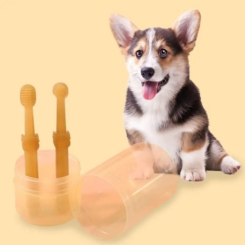Conjunto de pasta de dente para animais de estimação com escova de silicone para cães e gatos