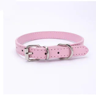 Cat and Dog Collar with Leash (PU Material)