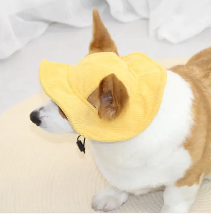 Pet Casual Hat (Colour Variants)