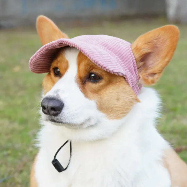 Pet Casual Hat (Colour Variants)