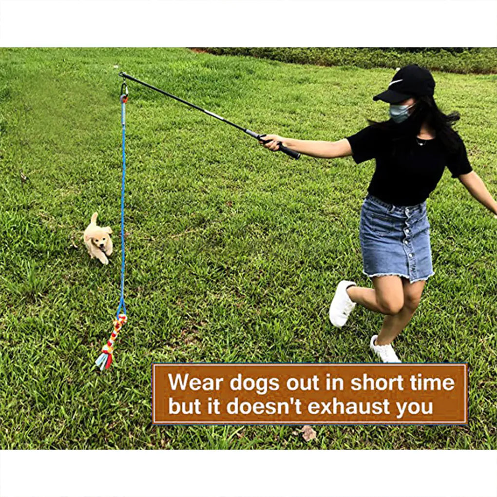 Portable Interactive Pet Training Rope Toy for Outdoors