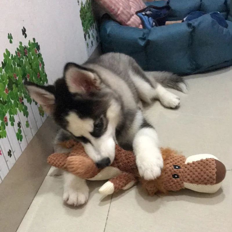 Exciting Plushie Pet Toys to Banish Boredom (Variants)