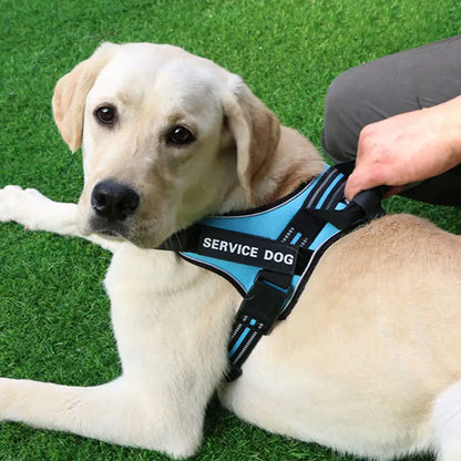 Medium and Large Service Dog Harness with Chest Strap Vest