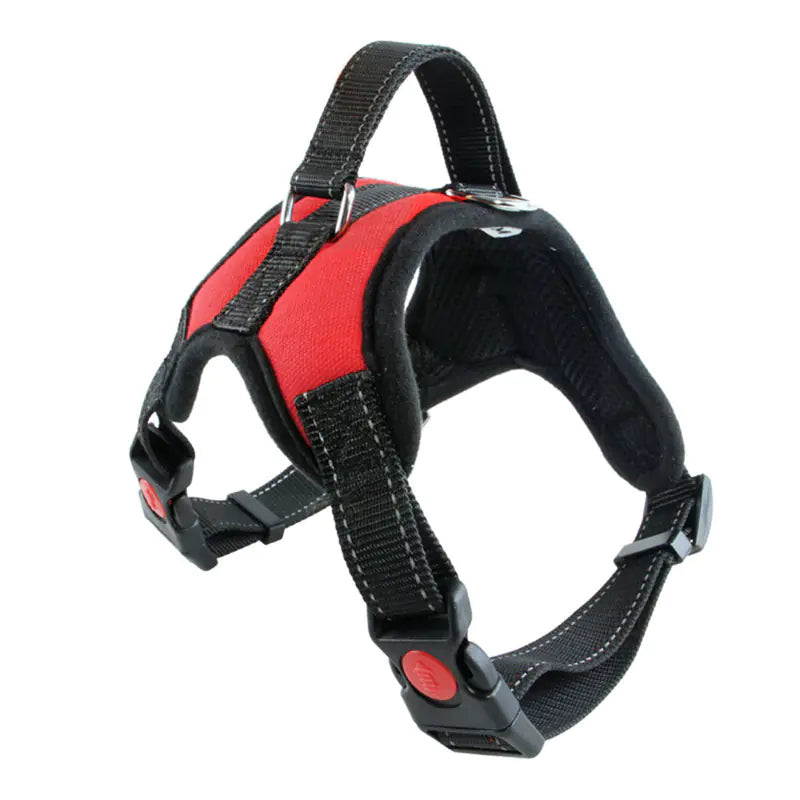 Small Dog Vest Harness with Rope Chest and Back Design (Colour Variant)