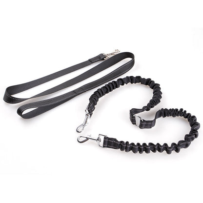 Double Headed Retractable Dog Leash with Pull Rope