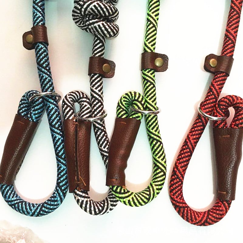 Coleira de treino para cães de porte médio (variações de cor)