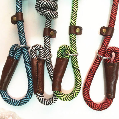 Coleira de treino para cães de porte médio (variações de cor)