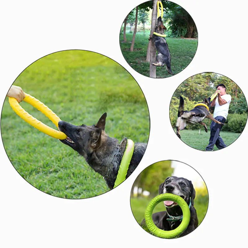 Interactive Floating Dog Toy - Training Ring Puller (Size Variants)