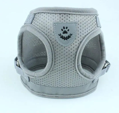 Fluorescent Harness for Small to Medium Dogs (Colour Variants)