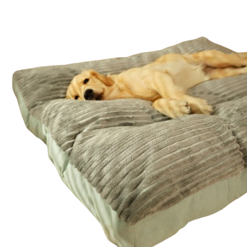 PurrClean Washable Pet Bed (Colour Variants)