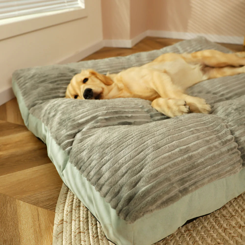 Dog lying on a fluffy pet bed in a home setting