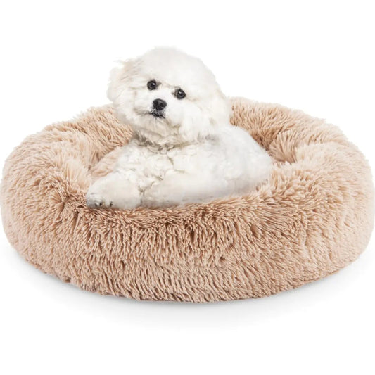 Small white dog lying on a fluffy beige donut pet bed against a white background