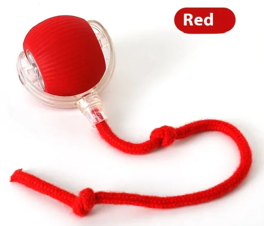 Interactive Toy Ball for Cats and Dogs (Colour Variants)