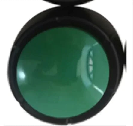 Pet Voice Training Button