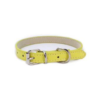 Cat and Dog Collar with Leash (PU Material)