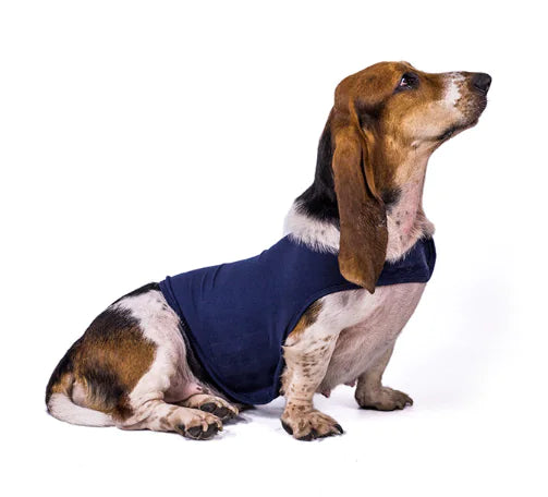 Calm Pet Jacket (Colour & Size Variants)