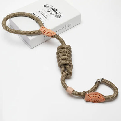 Slip Lead Dog Training Leash (Colour Variants)