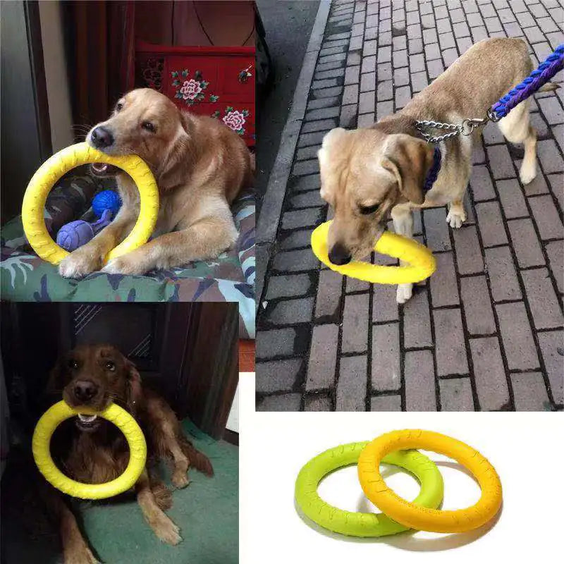 Interactive Floating Dog Toy - Training Ring Puller (Size Variants)