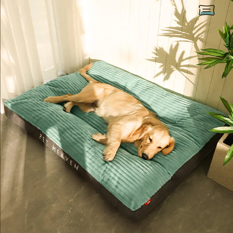 Dog lying on a green pet bed with 'Pet Heaven' branding in a room with curtains and a plant.
