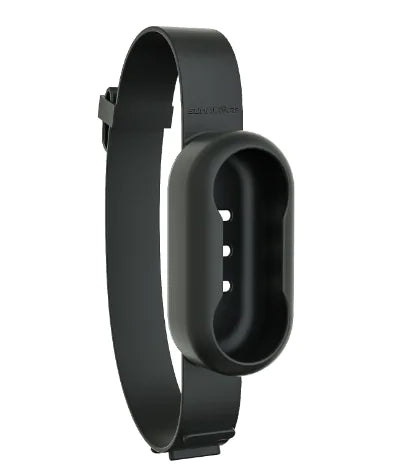 Pet Collar Camera for Cats and Dogs