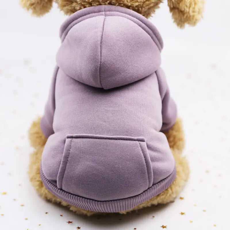 Winter Sweatshirt for Small Dogs - Cup Dog Apparel (Variants Available)