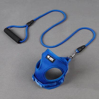 Dog Leash and Collar Set for Pets