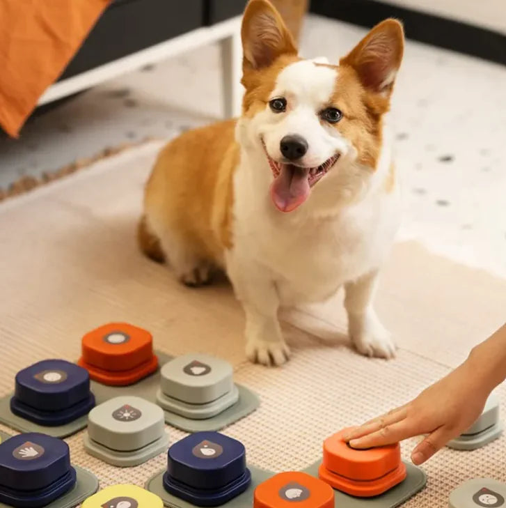 Pet Toy Communication Buttons (Variants)