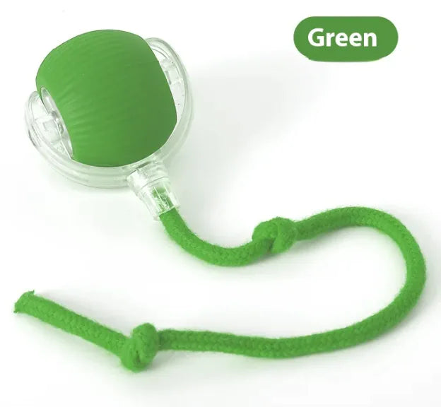 Interactive Toy Ball for Cats and Dogs (Colour Variants)