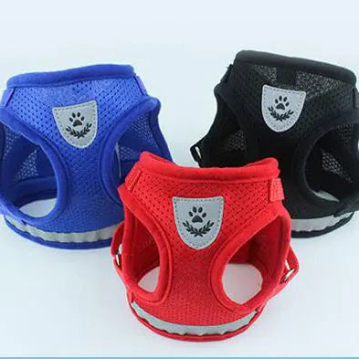 Three dog harnesses in blue, red, and black on a white background