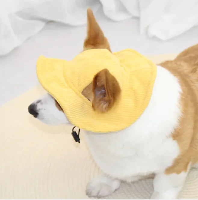 Pet Casual Hat (Colour Variants)